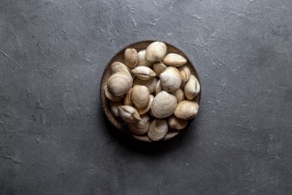Food, Food, Raw fresh clams in gray plate, gray background