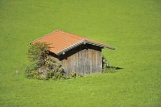 Wooden hut