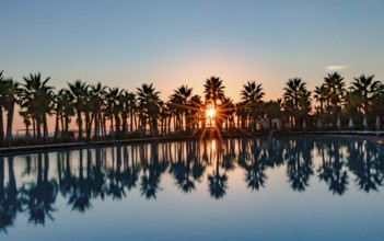 Sunset by the pool with palm trees in Salgados, Portugal, Europe