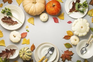 Thanksgiving festive table composition with different colourful pumpkins, autumn leaves, empty