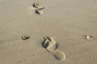 Footsteps in the sand at the beach