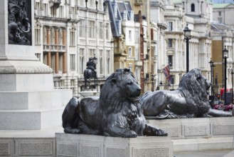 London Trafalgar Square in UK england