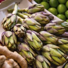 Fresh weekly market market vegetables Artichoke