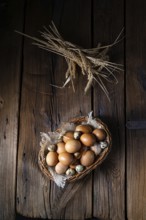 Fresh eggs straight from the farm in a basket