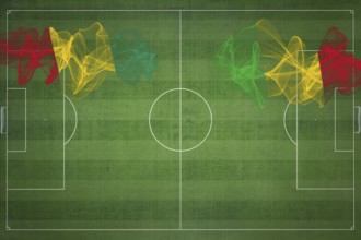 Guinea vs Mali Soccer Match, national colors, national flags, soccer field, football game,
