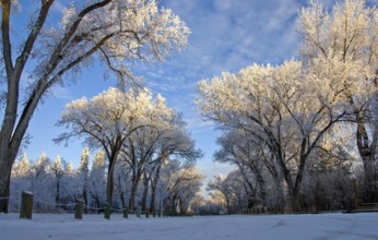 Winter Frost Saskatchewan Canada ice storm danger