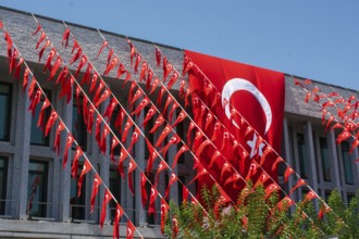 Turkish flag. national flag of Turkey