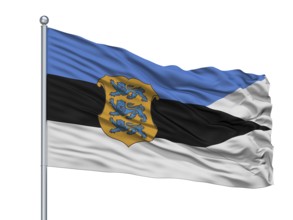 Estonia Naval Ensign Flag On Flagpole, Isolated On White Background