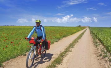 Biker by Camino de Santiago in bicycle at Saint James Way of Levante of Spain