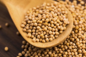 Spicy mustard seeds in a wooden background