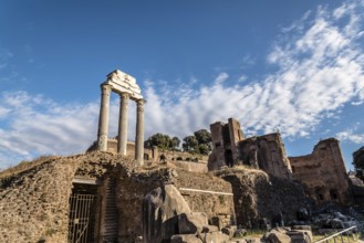 View of Forum of Rome a sunny summer day in Rome. It was for centuries the center of Roman public
