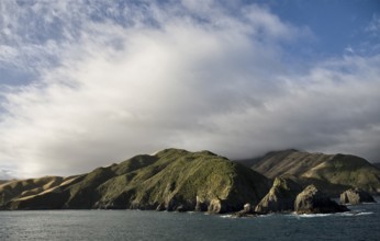 Ferry View Wellington New Zealand to South Island