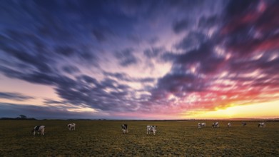 Sunset at the Farm, Color Image, Evening