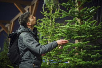 Found perfect Christmas tree bought at special planting place. Young adult man choosing a Christmas