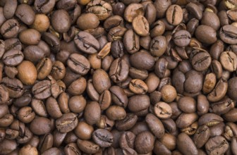 The photo shows a pile of roasted coffee beans