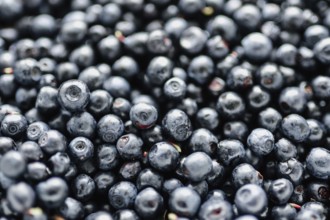 A close-up view of fresh blueberries closely packed together