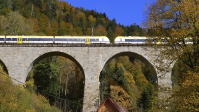 Höllental railway crosses the Ravenna viaduct