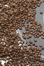 Coffee beans and vintage vinyl record on white background
