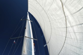 Sail of a sailing yacht in the wind while sailing on the sea