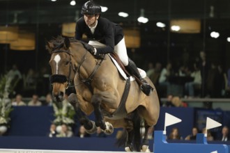 Steve Guerdat of Switzerland competes in 1.60m FEI Jumping World Cup at Jumping Amsterdam in
