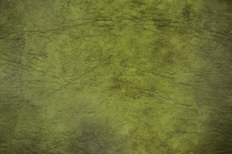 Green textured background with rough uneven surface, creating an abstract pattern of light and