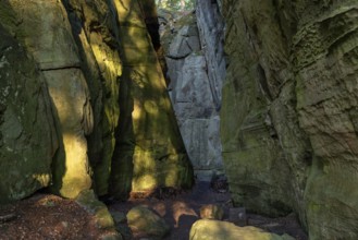 Narrow passage in the sandstone, Mullerthal Trail, hiking trail near Berdorf, Luxembourg, Europe