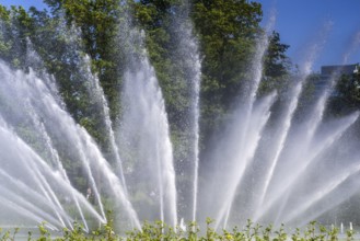 Water fontaine in the park
