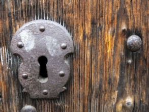 Photo Picture of the Beautiful Wood Background Texture