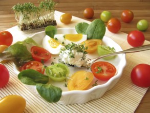 Cream cheese ball with cress, tomatoes and egg
