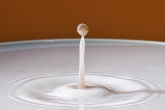 Single dripping water jet hits smooth surface in front of orange background, water droplets,