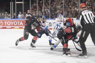 LanxessArena, North Rhine-Westphalia, Louis- Marc Aubry (Cologne Sharks, #15), PENNY DEL, Cologne
