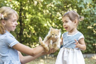 Girls play with kitten outdoor in the park