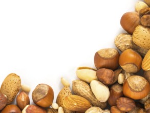 Background of closeup mixed nuts - hazelnuts, almonds, walnuts, pistachios, peanuts, pine nuts