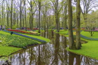 LISSE, NETHERLANDS, APRIL 22, 2018: Lots of people enjoying the blooming tulips in the Keukenhof,