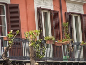 Urban residential buildings with balconies and plants, warm colours and a pleasant living