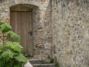 An old wooden gate in a stony wall with plants and a rustic atmosphere, Dürnstein, Wachau, Danube,