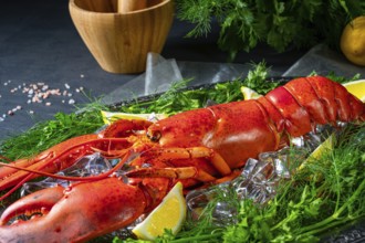 The cooked lobster on ice