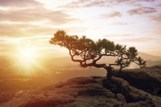 Beautiful sunrise in Saxon Switzerland