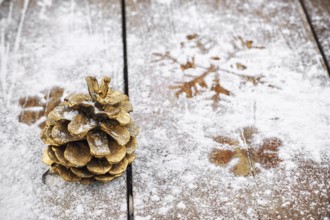 Cedar tower painted in gold colour on a snowy wooden background