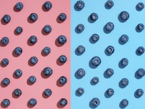 Blueberry pattern. Minimalistic concept. Top view or flat lay. Blueberries staggered on two colors