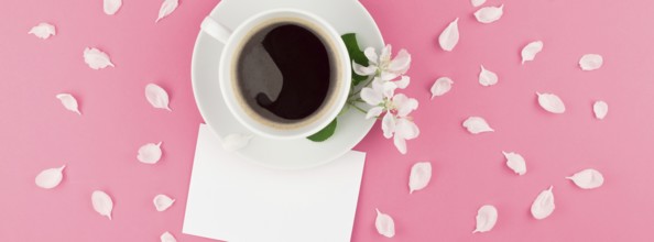 Creative flat lay concept top view of coffee cup and white apple tree flowers petals on pastel pink