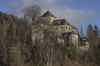 Fischhorn Castle, Bruck an der Großglocknerstrasse, Wald, Pinzgau
