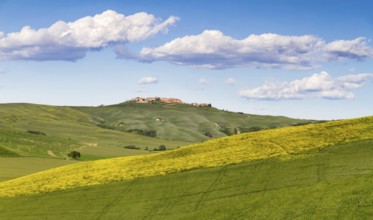 Tuscany landscape between Siena and Asciano, Crete Senesi, Italy, Europe