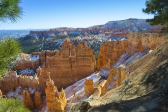 Snow topped Bryce canyon with hoodoos on a sunny day during golden hour, national park, Utah, USA,