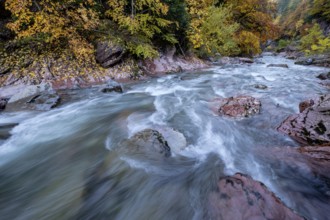 Aragón Subordán river, Selva de Oza, Valley of Hecho, western valleys, Pyrenean mountain range,