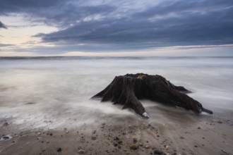 On the coast of the Baltic Sea