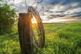 Golden sunset over a rural dutch landscape with a roll of barbed wire