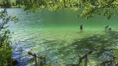 Emerald-green Lake Thumsee in Berchtesgaden National Park