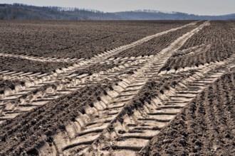 Tractor tracks, agricultural trails at a cultivated field in springtime, farmland near Wesertal,