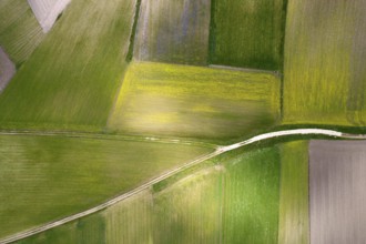 Aerial view of the geographical composition of cultivated fields